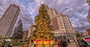 Abeto natural instalado el la plaza de España en la confluencia con Gran Vía, y que mide 18 metros, pesa unas 1,5 toneladas y que está iluminado por 27.000 puntos de luz.