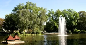 El lago del parque de la Quinta de los Molinos tiene su origen en los pequeños arroyos que regaban los huertos, jardines y árboles de este parque en el siglo XX. Es un agradable estanque que cuenta con su propia fauna de tortugas, peces y réptiles.